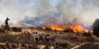В Израиле вспыхнуло несколько крупных пожаров - detaly.co.il - Израиль