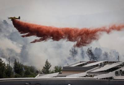 Из-за пожара возле Иерусалима власти эвакуировали 400 семей в районе Цур-Хадасса - unn.com.ua - Израиль - Иерусалим - Украина - Киев - Цур-Хадасса - Из