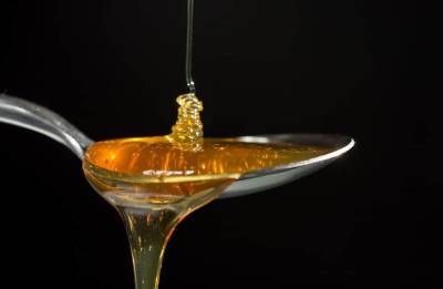 В Израиле разрабатывают способ получения меда без пчел - cursorinfo.co.il - Израиль