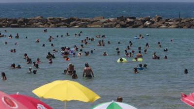 Ученый: скоро лето в Израиле будет длиться по полгода - vesty.co.il - Израиль - Сша