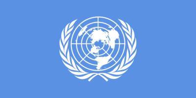 Успех в ООН: Израиль впервые выбрали членом экономического и социального совета (ECOSOC) - detaly.co.il - Израиль