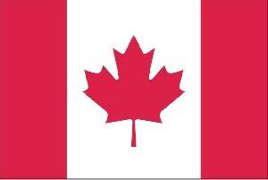 Канада думает ослабить ограничения по коронавирусу для иностранных туристов - isra.com - Канада