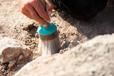 В Израиле найдено яйцо, которому больше тысячи лет - cursorinfo.co.il - Израиль - Давид