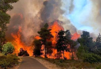 Страшный лесной пожар в пригороде Иерусалима, огонь идет к жилым домам - nashe.orbita.co.il - Иерусалим - Огонь