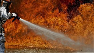 Илан - Возле Неве-Илан и Абу-Гош вспыхнули два лесных пожара - cursorinfo.co.il - Иерусалим - Абу