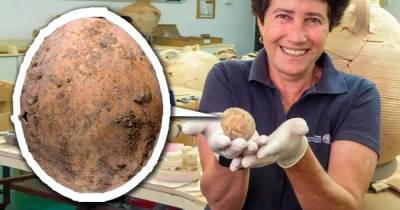 Ли Перри-Галь - Алла Нагорская - В Израиле нашли тысячелетнее куриное яйцо и древних кукол - ren.tv - Израиль - Тель-Авив - Явне