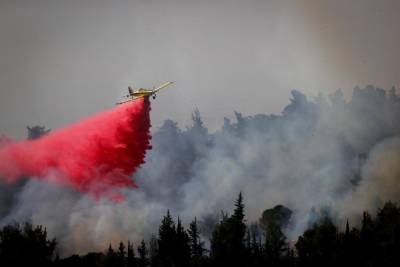 Более 70 пожарных расчетов сражаются с пожарами по всему Израилю - news.israelinfo.co.il - Израиль