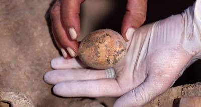 Алла Нагорская - В Израиле нашли куриное яйцо возрастом в тысячу лет - ru.armeniasputnik.am - Израиль - Армения