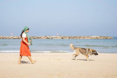 Всем собакам в Тель-Авиве придется сдать анализ ДНК: хозяева, готовьтесь к штрафам - vesty.co.il - Израиль - Тель-Авив
