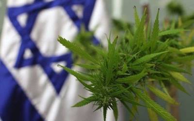 Мансур Аббас - Коалиция отозвала законопроект о декриминализации марихуаны - cursorinfo.co.il - Израиль