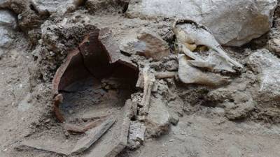 Редкая находка рассказала о "свиноедах" в Иерусалиме еще 2700 лет назад - vesty.co.il - Израиль - Иерусалим - Находка