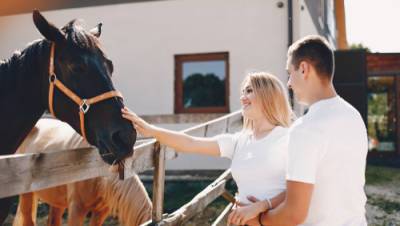 Дженнифер Энистон - Это не фейк: в Израиле открыли новое свойство лошадиного шампуня - vesty.co.il - Израиль - штат Нью-Джерси - Это