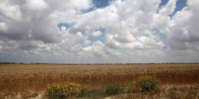 Прогноз погоды в Израиле: понижение температуры, возможен легкий дождь - detaly.co.il - Израиль
