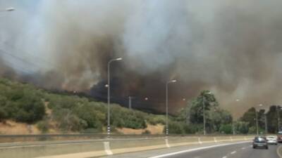 Лесной пожар на севере Израиля оставил Кирят-Шмону без электричества - vesty.co.il - Израиль
