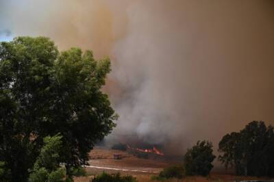 В Галилее во вторник зафиксировали два масштабных пожара - cursorinfo.co.il