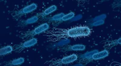 Израильские ученые выяснили, как можно уничтожить устойчивые к антибиотикам бактерии - cursorinfo.co.il - Иерусалим - Израильские
