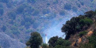 Израиль помогает Кипру справиться с сильнейшим лесным пожаром в истории - detaly.co.il - Израиль - Кипр