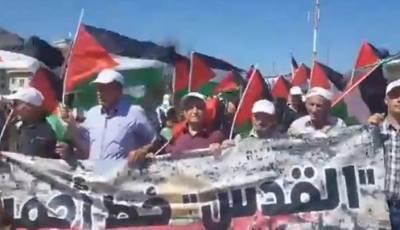 "Парад антилояльности": в израильском городе состоялся "Марш флагов", но не израильских - 9tv.co.il - Израиль - Палестина - Умм