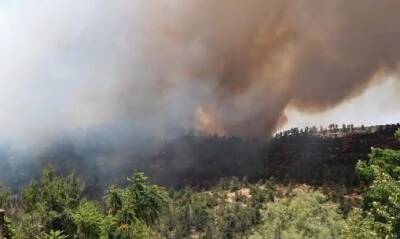 На севере Израиля возник сильный пожар: в Кирьят-Шмоне объявлена эвакуация жителей - 9tv.co.il - Израиль