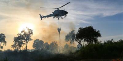 Крупный пожар под Иерусалимом: горит самый большой посаженный лес в Израиле - detaly.co.il - Израиль - Иерусалим