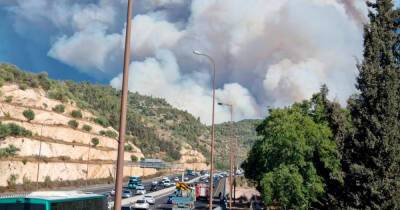 Крупный лесной пожар произошел в районе Иерусалимских гор в Израиле - ren.tv - Израиль