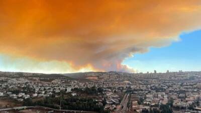 Пожар на подступах к Иерусалиму: эвакуированы поселки, есть пострадавшие - vesty.co.il - Израиль - Иерусалим - Есть