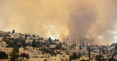 Лесные пожары вспыхнули в окрестностях Иерусалима - reendex.ru - Израиль - Иерусалим
