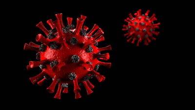 Из Израиля - Специалисты из Израиля и США разработали новое средство против всех штаммов коронавируса - cursorinfo.co.il - Израиль - Сша - Jerusalem - Из