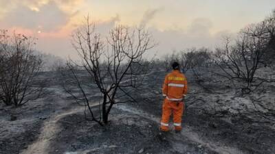 Пожар возле Иерусалима: 2000 жителей не могут вернуться домой - vesty.co.il - Израиль - Иерусалим - Рамат-Разиэль