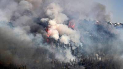 Пожар возле Иерусалима: огонь перекинулся на дома - vesty.co.il - Израиль - Иерусалим - Украина - Гиват-Йеарим - Огонь