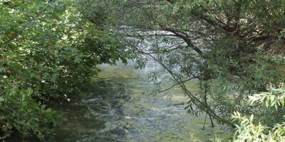 Из-за загрязнения запрещено купание в нескольких ручьях на севере Израиля - detaly.co.il - Израиль - Из