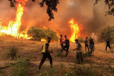 Алжир обвинил Израиль в поджоге лесов - lenta.ru - Израиль - Алжир - Марокко - Алжирская Народная Демократическая Республика