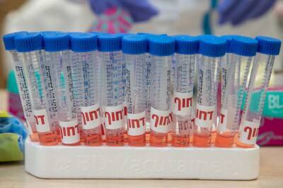 Нафтали Беннет - В Израиль привезли больше миллиона тестов на коронавирус для школьников - cursorinfo.co.il - Израиль
