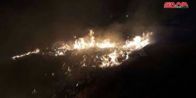Израиль поджигает леса в Сирии - eadaily.com - Израиль - Россия - Сирия - Дамаск