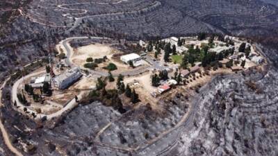 Шакед Аелет - Правительство выделит 2,6 млн шекелей на восстановление после пожара возле Иерусалима - vesty.co.il - Израиль - Иерусалим