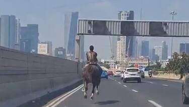 Видео: всадник на лошади промчался по автотрассе Аялон в Тель-Авиве - vesty.co.il - Израиль - Тель-Авив - Видео