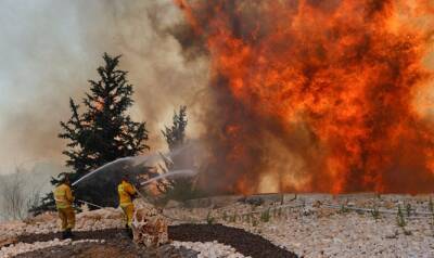 В лесу недалеко от мошава Шореш в районе Иерусалима продолжает неистовствовать пожар. На месте происшествия работают многочисленные пожарные бригады, которым помогает пожарная авиация. Дома мошаве - 7kanal.co.il - Иерусалим
