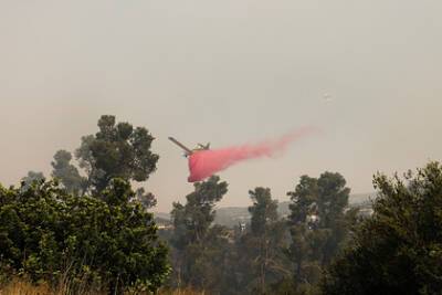 В Израиле разгорелись неконтролируемые лесные пожары - lenta.ru - Израиль - Тель-Авив - Иерусалим - Jerusalem - Турция