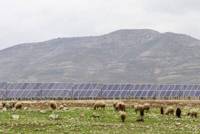 Как Государство Израиль победило солнечную электростанцию на ферме - news.israelinfo.co.il - Израиль - Тель-Авив