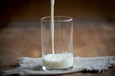Дефицит молока в Израиле: стало известно, когда молочные продукты появятся на полках - cursorinfo.co.il - Израиль - Иерусалим