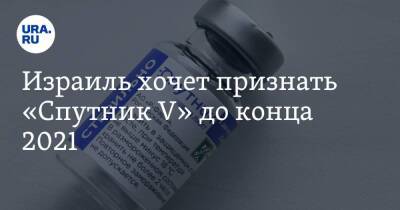 Александр Бен Цви - Израиль хочет признать «Спутник V» до конца 2021 - koronavirus.center - Израиль - Россия