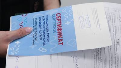 Александр Бен Цви - Израиль выразил готовность признать российские сертификаты о вакцинации до конца года - koronavirus.center - Израиль - Россия