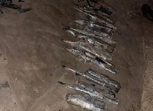 Террористы пытались доставить оружие из Иордании. ЦАХАЛ перехватил 23 ствола - isra.com - Иордания - Из
