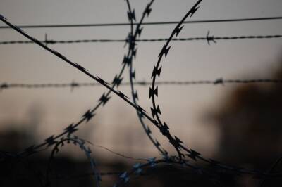 Армия Израиля поймала последних двух бежавших палестинских заключенных - aif.ru - Израиль - Украина - Дженин