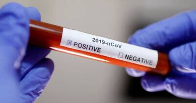 В Израиле дети будут сдавать тесты на COVID-19 после завершения каникул - koronavirus.center - Израиль - Украина