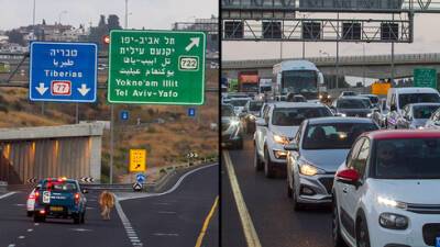 Видео: рыжая корова на час остановила движение транспорта на севере Израиля - vesty.co.il - Израиль - Видео