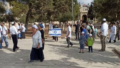 Флаг Израиля в руках еврейки на Храмовой горе привел в бешенство исламистов - vesty.co.il - Израиль - Иерусалим