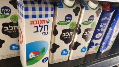 Подорожание молочных продуктов в Израиле остановлено - vesty.co.il - Израиль