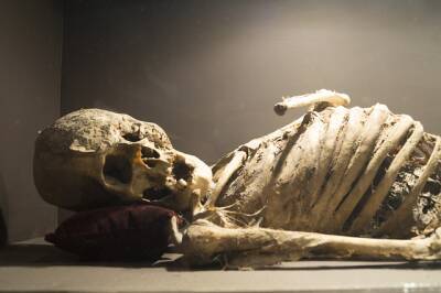 Ученые нашли ДНК человека во вшах, которые обитали в волосах тысячелетней мумии и мира - cursorinfo.co.il - Англия - Турция - Аргентина
