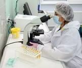 Ученые заподозрили лабораторное происхождение штамма «дельтакрон» - goodnews.ua - Сша - Кипр